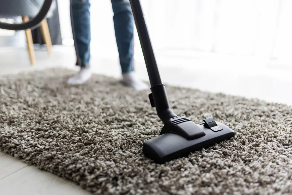 Carpet Cleaning by Urja Facility in Indore